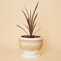 Large Macrame Wrap Terracotta Pot