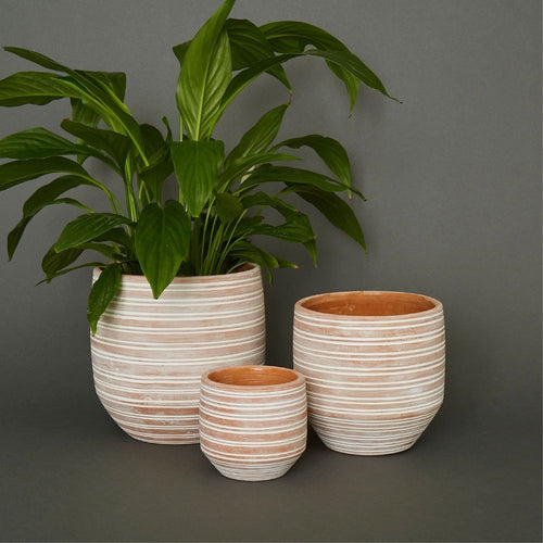 7.5" Small Striped Terracotta Pot