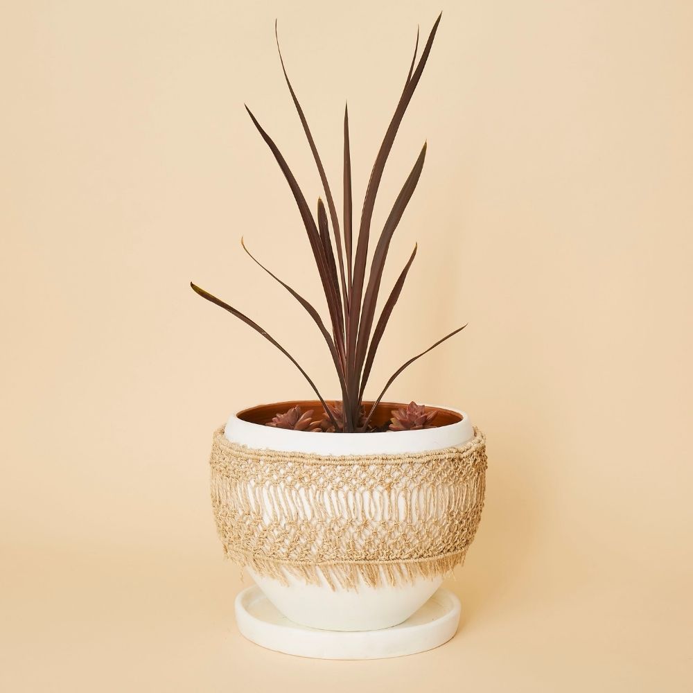 Macrame Wrap Terracotta Pot Set