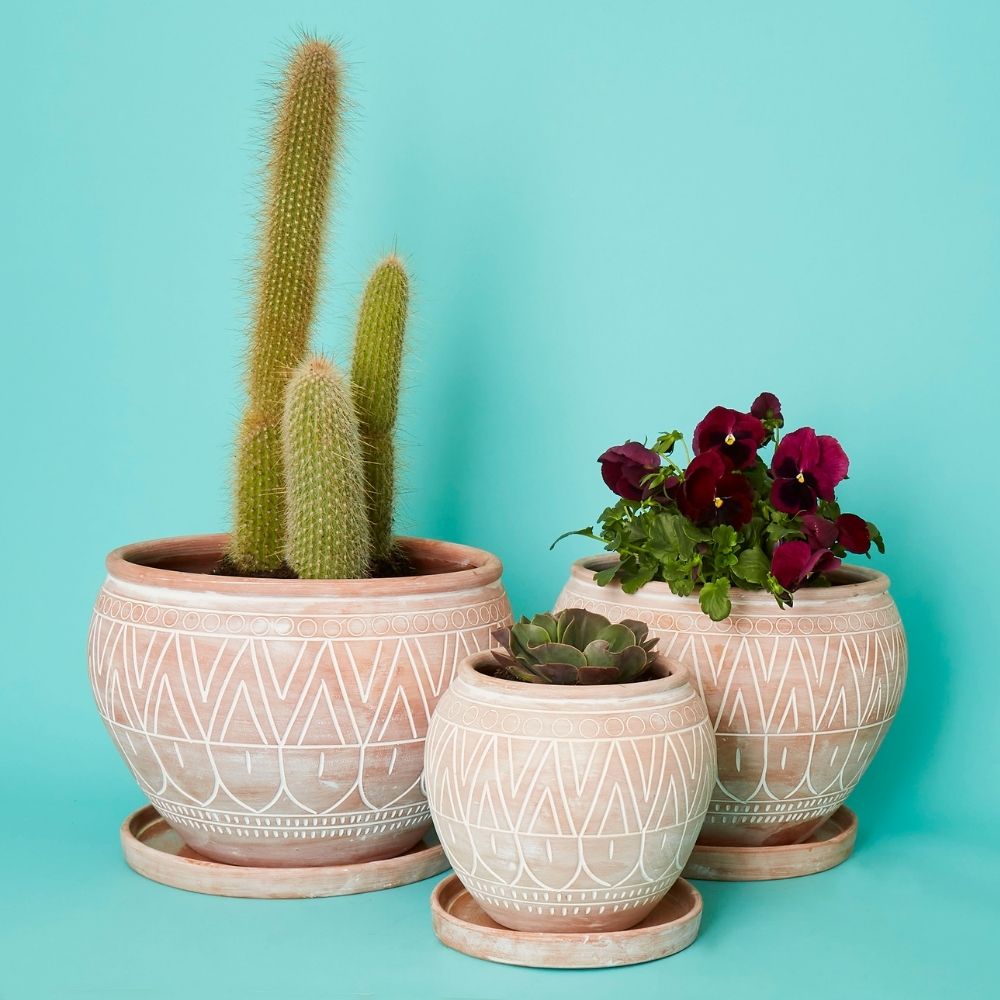 Medium Terracotta Belly Pot Saucer