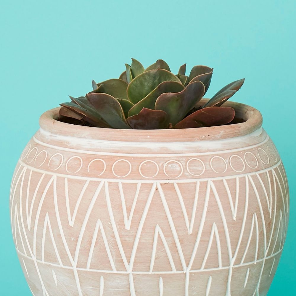 Small Terracotta Belly Pot Saucer