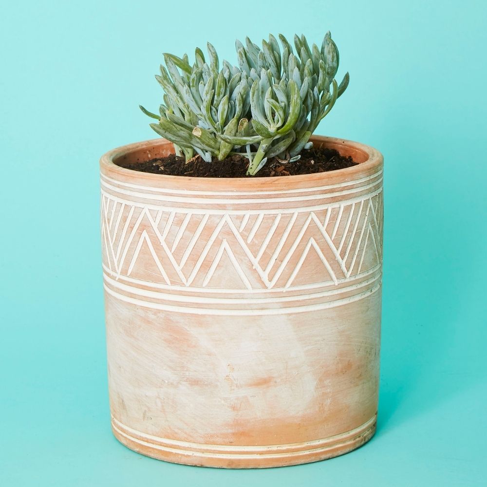 Cylindrical Terracotta Pot Set
