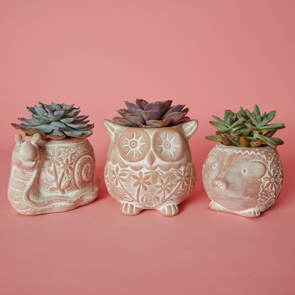 Small Floral Terracotta Snail Pot