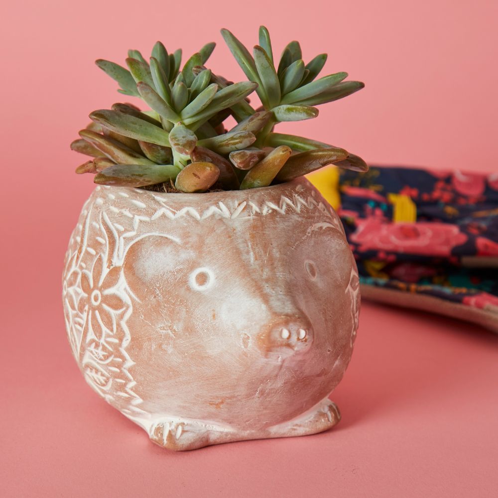 Small Floral Terracotta Owl Hedgehog Snail Pot Set